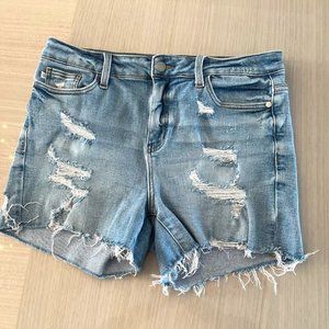 Judy Blue Jean Shorts, Size Large